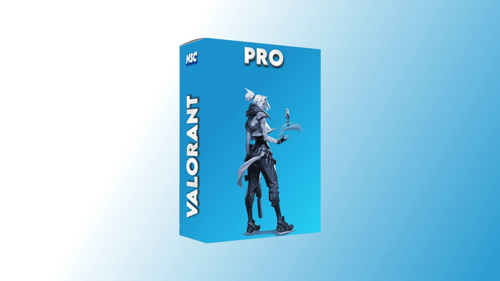 Valorant Pro